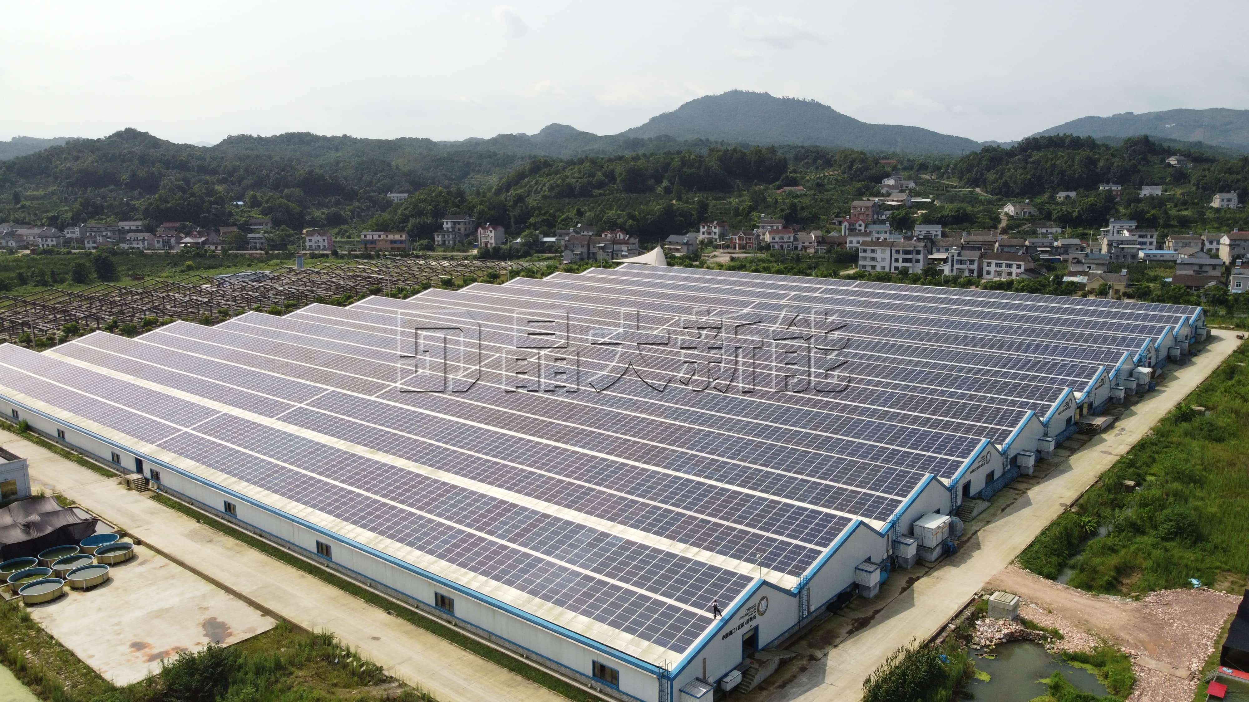 宜昌6MW养鱼棚bipv.JPG